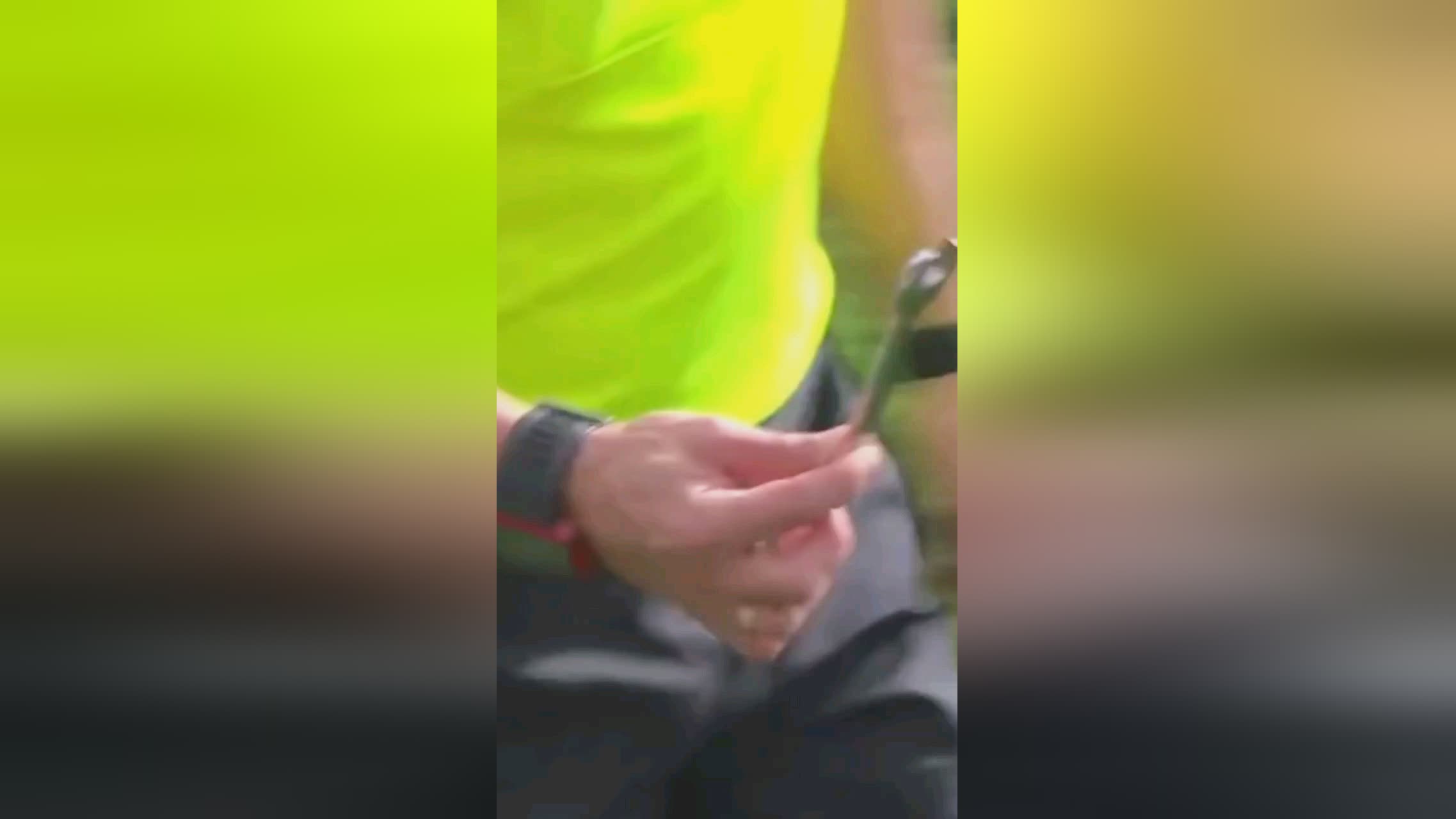 级得